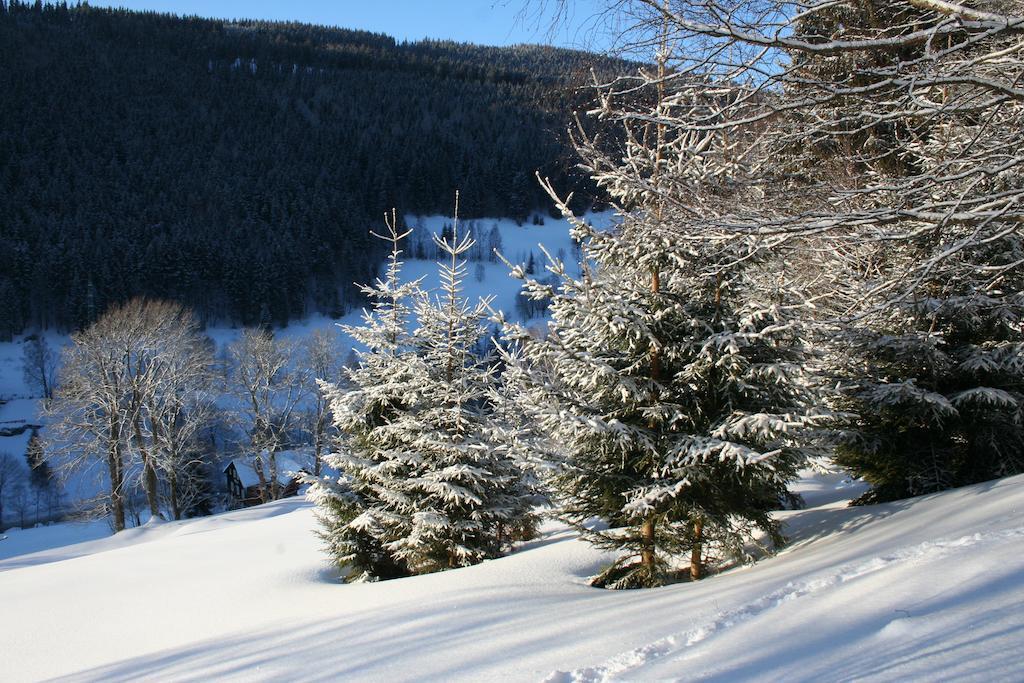 Penzion Pampeliska Pec pod Snezkou Exterior photo